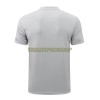 Manchester City Trainings Poloshirt 2022-23 Hellgraue Für Herren